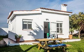 Bolonia House